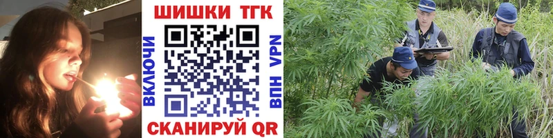 Магазины продажи наркотиков Можга ЭКСТАЗИ  АМФЕТАМИН  Мефедрон  СК  Конопля 