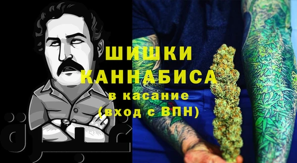 трава Арсеньев