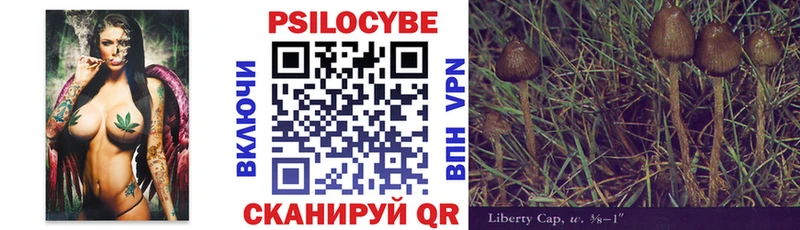 блэк спрут зеркало  Можга  Псилоцибиновые грибы Cubensis 