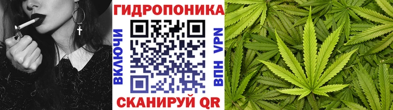 Канабис SATIVA & INDICA Можга